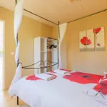 Coquelicot